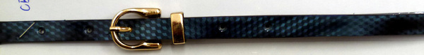 CBT2660
