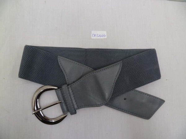 CBT2666