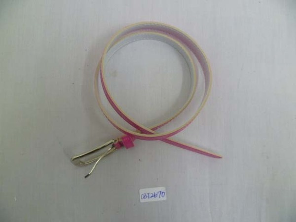 CBT2670