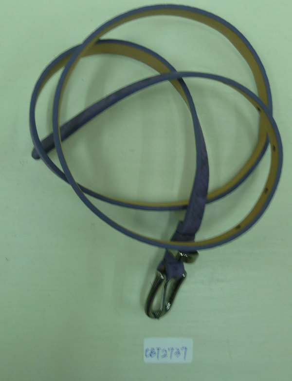CBT2737