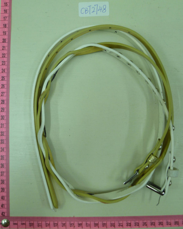 CBT2748