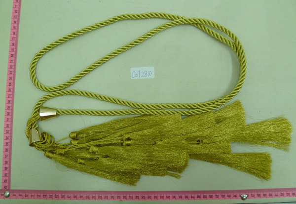 CBT2810