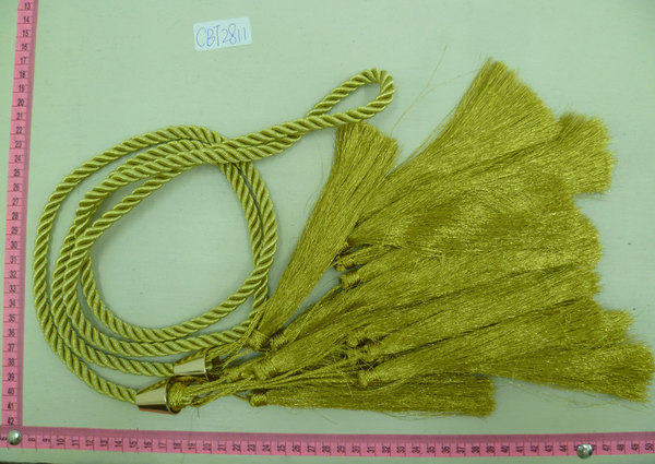 CBT2811