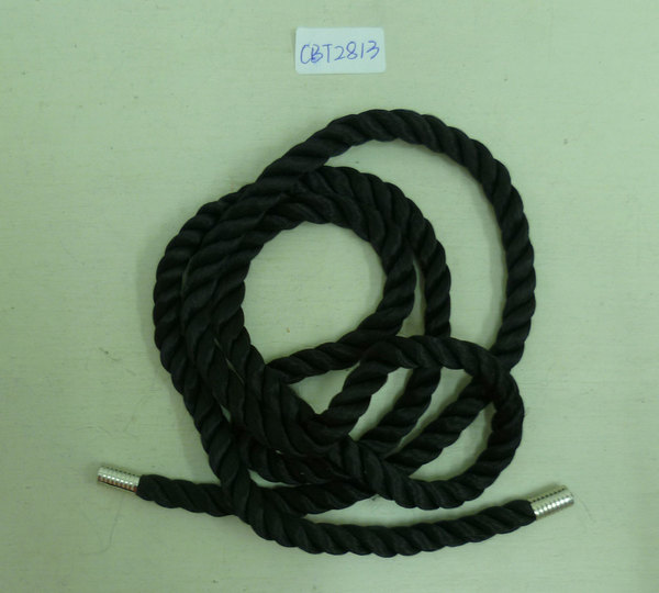 CBT2813