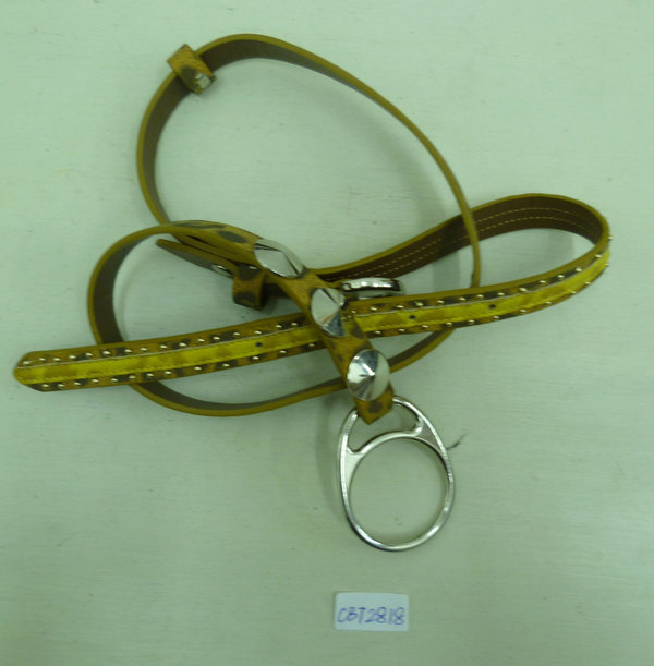 CBT2818