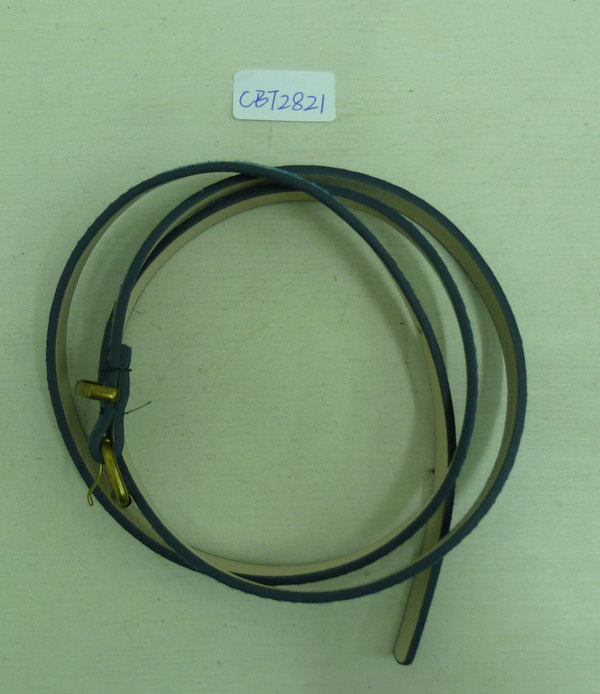 CBT2821