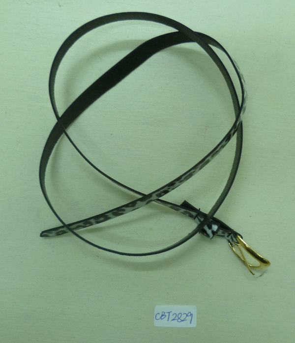 CBT2829