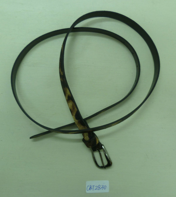 CBT2830