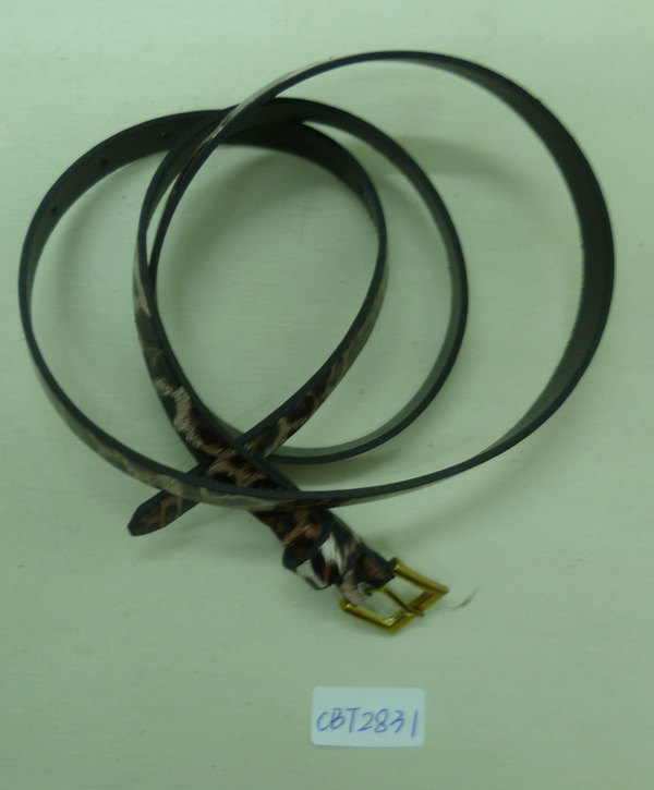 CBT2831