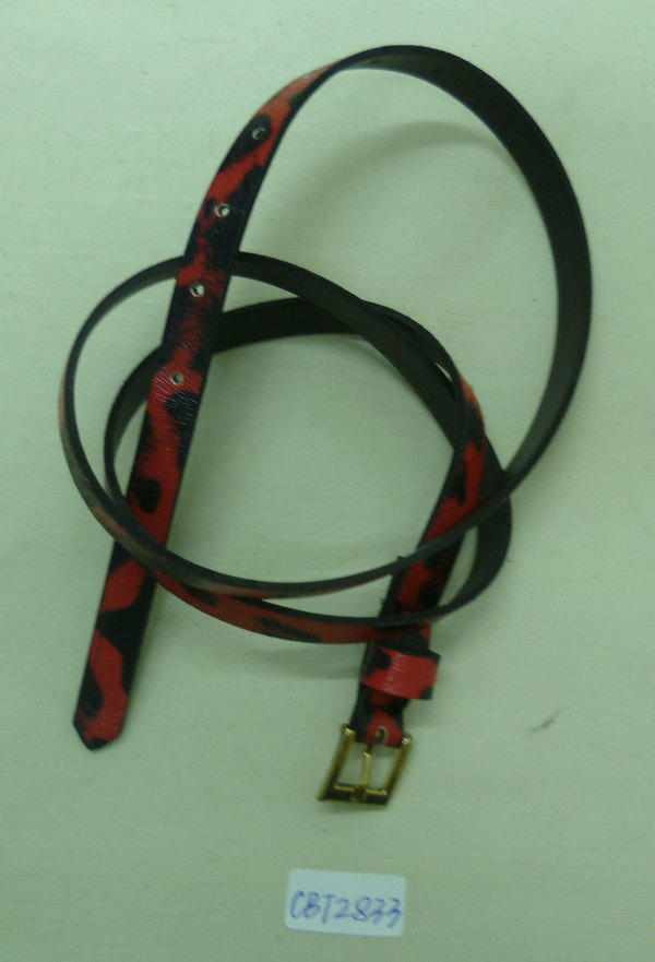 CBT2833