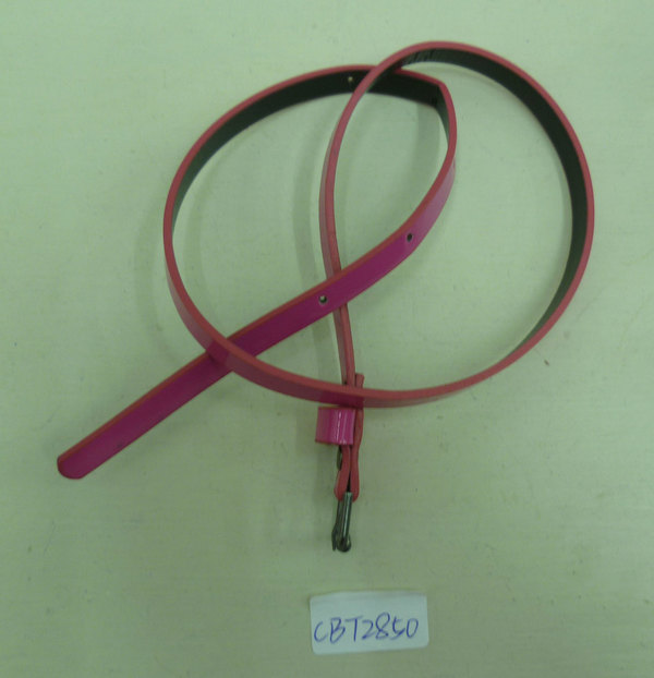CBT2850