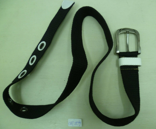 CBT2879