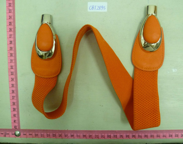 CBT2895