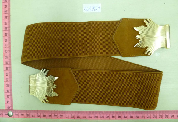 CBT2909