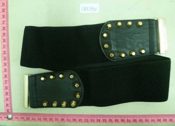 CBT2910