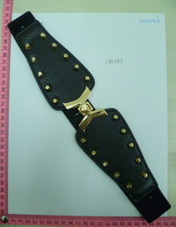 CBT2919