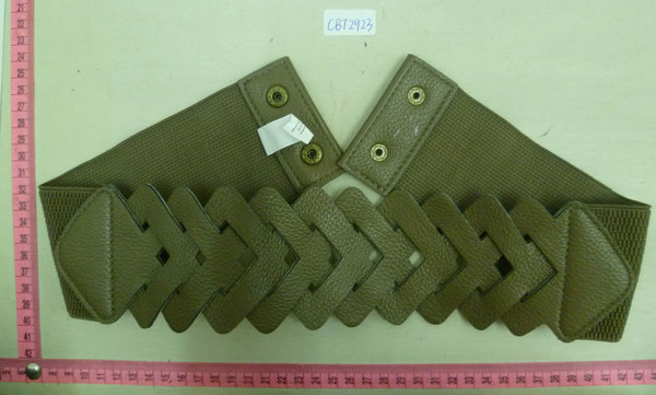 CBT2923
