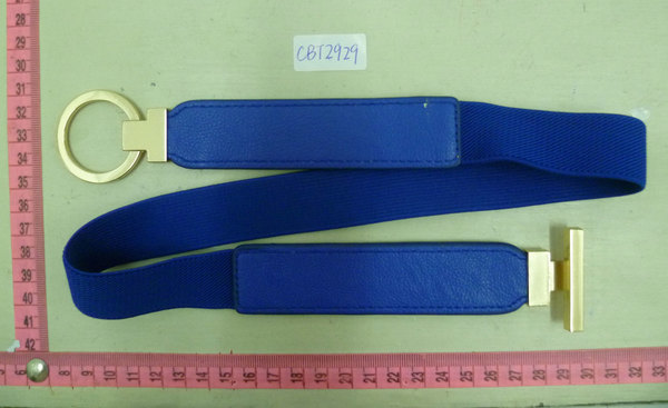 CBT2929