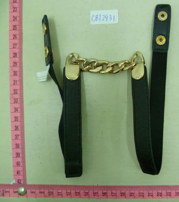 CBT2931