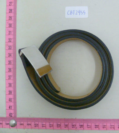 CBT2955