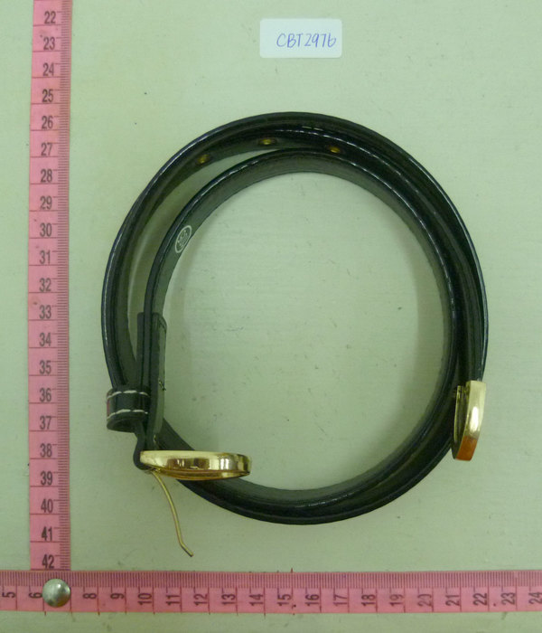 CBT2976