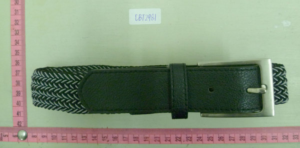 CBT2981