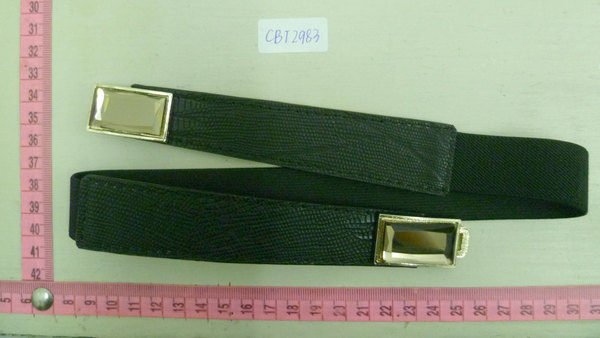 CBT2983