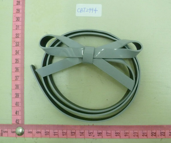 CBT2994