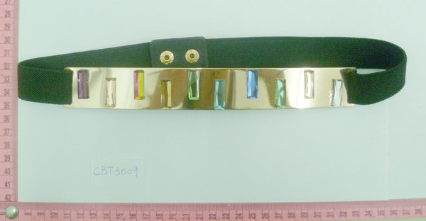 CBT3009