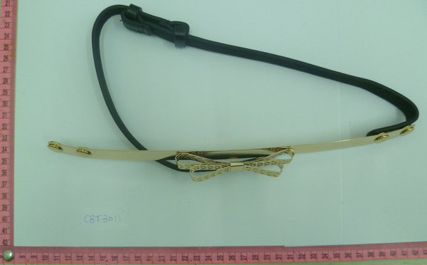 CBT3011