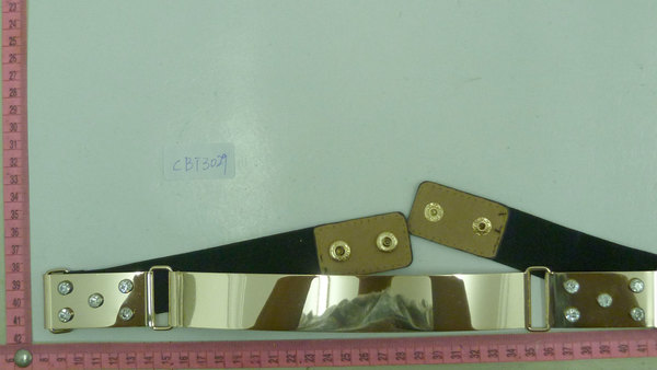 CBT3029