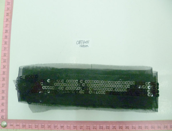 CBT3031