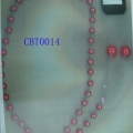 CBT0014