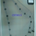 CBT0015