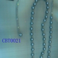 CBT0021