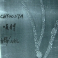 CBT0027A