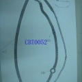 CBT0052