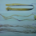 CBT0109-0111