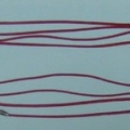 CBT0121