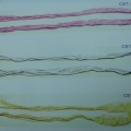 CBT0131-0133