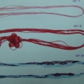 CBT0207-0209
