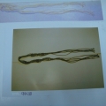CBT0227-0228