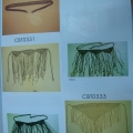 CBT0329-0333