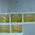 CBT0340-0352