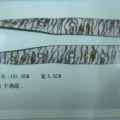 CBT0434