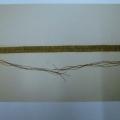 CBT0449