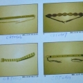 CBT0506-0507,0511-0512