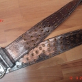 CBT1297