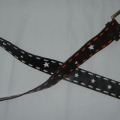 CBT1479-COL1