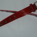 CBT1480